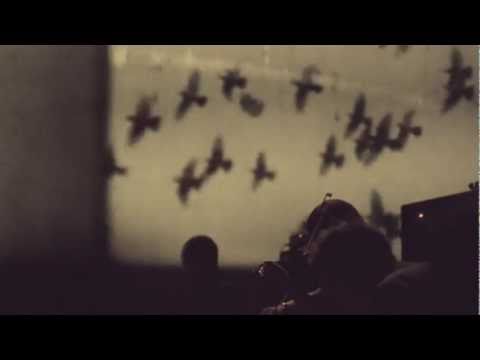 Image d'aperçu pour la video «»