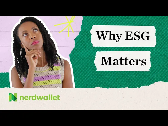 Video preview image